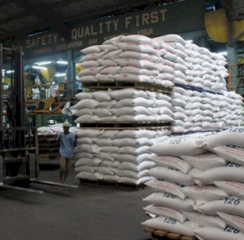 Cara Ampuh Lindungi Pakan Ternak Dari Serangan Hama