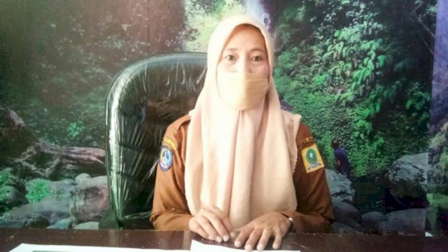 Kepala Bidang Pengendalian, Pencemaran dan Kerusakan Lingkungan DLHK Kabupaten Sinjai, Andi Sinar.