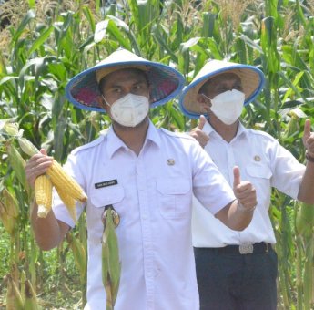 Hari Tani Nasional, Bupati Sinjai Berupaya Wujudkan Harapan Petani