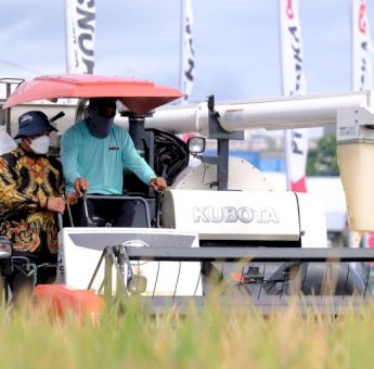 Panen Raya Padi Varietas Inpari di Sidrap, Andi Sudirman: Alhamdulillah Produksi di Sulsel Meningkat