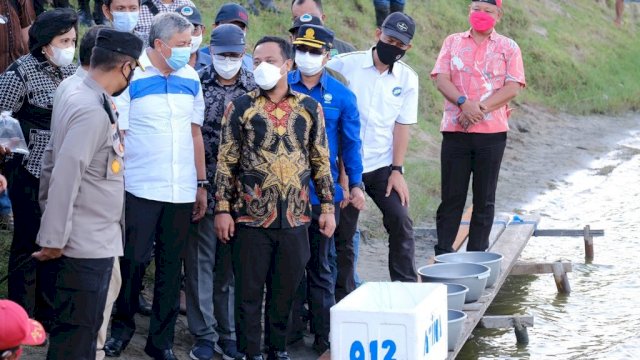 Plt Gubernur Sulsel Andi Sudirman Sulaiman didampingi Bupati Pinrang Andi Irwan Hamid, saat melakukan penebaran benih udang windu secara simbolis di salah satu tambak, Jumat (20/08/2021).