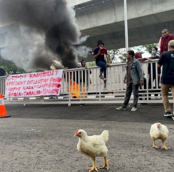 Massa ProDEM Geruduk Kantor Ditlantas Polda Sulsel Terkait Dugaan Pungli, Tuntut Copot Kasat Lantas Gowa dan Maros
