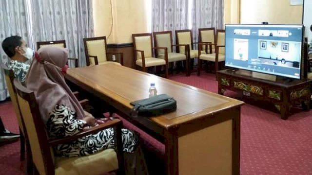 Pemkab Sinjai Ikuti Webinar PIP