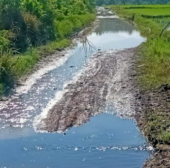 Jalan Tani di Labokong Soppeng Rusak Parah, Ini Penjelasan Kepala Desa