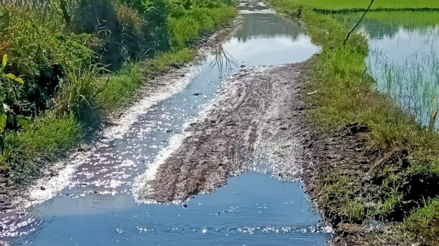 Kondisi salah satu Jalan Tani di Dusun Assorajang, Desa Labokong, Kabupaten Soppeng, Rabu (20/10/2021).