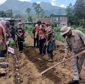 Kadis TPHP Sinjai Inginkan Gunung Perak Jadi Kampung Penghasil Kentang Nomor Satu di Sulsel