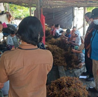 Perkim dan Kota Sehat Palopo