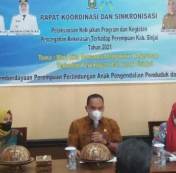 Cegah Kekerasan Perempuan dan Anak, Pemkab Sinjai Bakal Bentuk TPPO