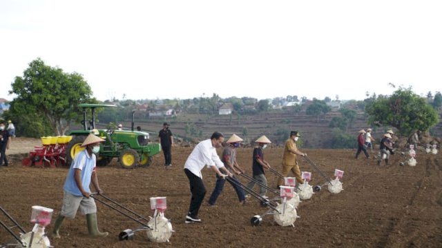 Presiden Republik Indonesia Joko Widodo dan Plt Gubernur Sulsel Andi Sudirman Sulaiman, melakukan penanaman jagung bersama petani di Kelurahan Tolo, Kecamatan Kelara, Kabupaten Jeneponto, Selasa (23/11/2021).