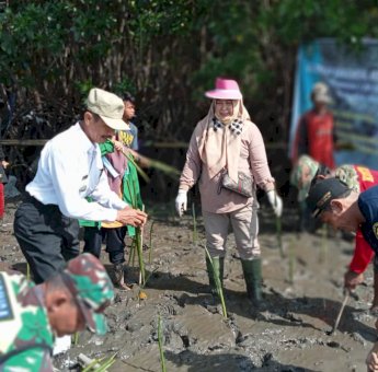 Mahasiswa KKN UIN Alauddin Makassar Tanam Ribuan Pohon Mangrove di Pesisir Pantai Sinjai