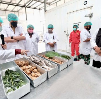 Gowa Siap Jadi Penyedia Bahan Baku Pembuatan Obat-obatan Tradisional