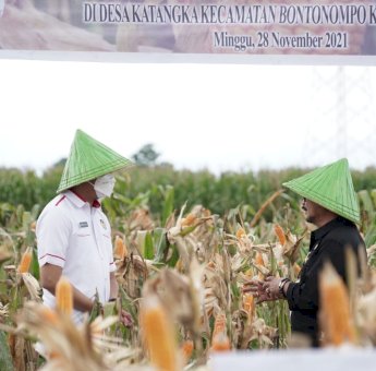 Kementan Dorong Kabupaten Gowa Jadi Wilayah Pengembangan Jagung