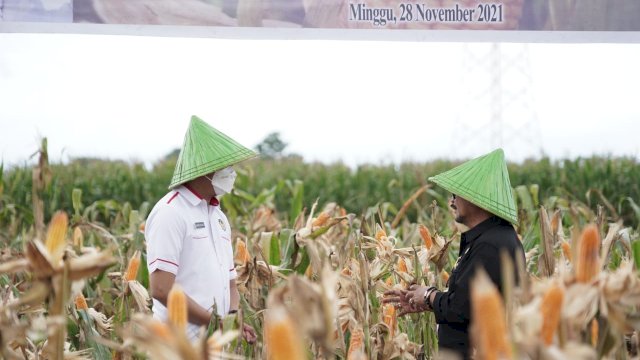 Menteri Pertanian RI Syahrul Yasin Limpo, berbincang dengan Bupati Gowa Adnan Purichta Ichsan, di sela-sela Panen Raya Jaging, Minggu (28/11/2021).