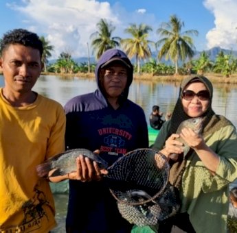 Tingkatkan Imunitasnya, Ikan pun Perlu &ldquo;Jamu&rdquo;