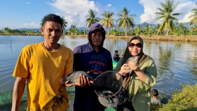 Budidaya Ikan Nila yang cukup memberikan harapan.