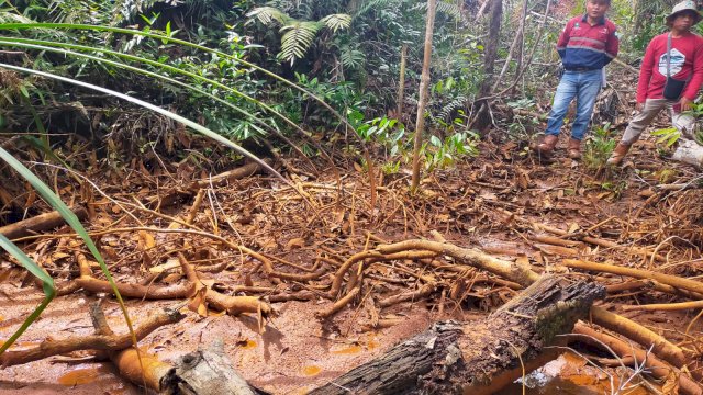 Kondisi Anak Sungai Disekitar Sediment Pond Blok Landau PT CLM.