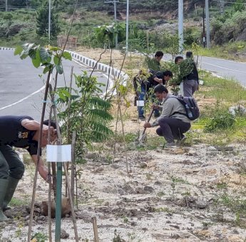 Lima Ribu Bibit Pohon Sudah Ditanam di Area Bandara Toraja, Plt Gubernur Sulsel Ajak Cintai Lingkungan
