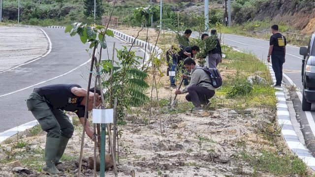 Petugas Dinas Kehutanan Sulsel menanam Pohon di Area Bandara Buntukunik Toraja, Senin (06/12/2021).