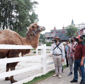 Wabup Gowa Pelajari Konsep Wisata Cimory Dairyland untuk di Parangloe