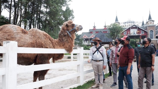 Wabup Gowa Pelajari Konsep Wisata Cimory Dairyland untuk di Parangloe