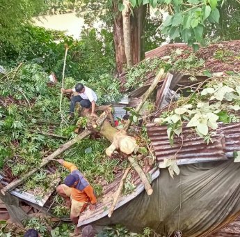 Rumahnya Rusak Tertimpa Pohon, Warga Sinjai Dapat Bantuan dari Plt Gubernur Sulsel