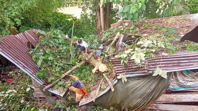 Rumah warga yang rusak berat akibat tertimpa Pohon Tumbang di Jalan A Petta Punggawae, Kelurahan Bongki, Kecamatan Sinjai Utara.