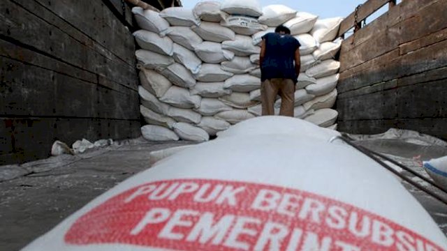 Ilustrasi Pupuk Subsidi. (Istimewa)