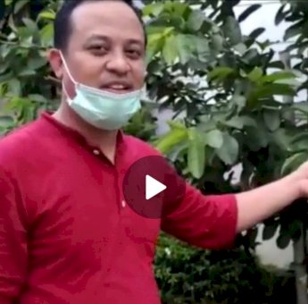 Andi Sudirman Ajak Masyarakat Sulsel Tanam Pohon di Halaman Rumah