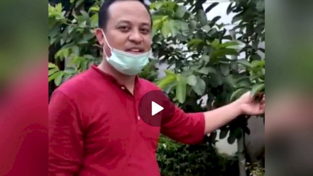Tangkapan layar video Plt Gubernur Sulsel Andi Sudirman Sulaiman, memperlihatkan tanaman di Pekarangan Rujabnya, Selasa (04/01/2022).
