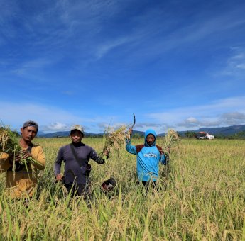 PT Vale Konsisten Dorong Pertanian SRI Organik di Area Mahalona Raya