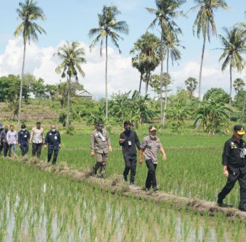 Dikunjungi Menteri Pertanian, Bupati Iksan Iskandar: Harapan Baru Bagi Kita Masyarakat Jeneponto
