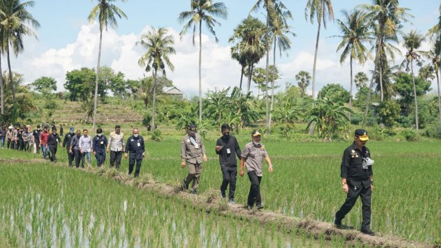 Bupati Jeneponto Iksan Iskandar mendampingi Menteri Pertanian RI Syahrul Yasin Limpo, berjalan menyusuri sawah milik warga saat berkunjung ke Kelurahan Empoang Selatan, Kecamatan Binamu, Kabupaten Jeneponto, Sabtu (08/01/2022).