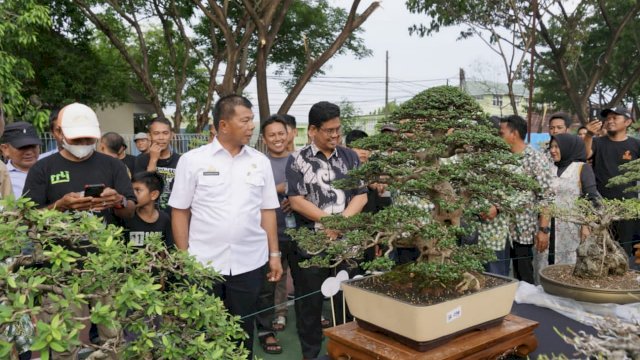 Bupati Muchtar Ali Yusuf dan Wakil Bupati Edy Manaf menghadiri pembukaan festival Bonsai di GOR Matajang, kabupaten Bulukumba, Kamis (27/1/2022).