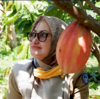 Produksi Kakao Sulsel Terbesar di Indonesia, Luwu Utara Sumbang 21,13 Persen