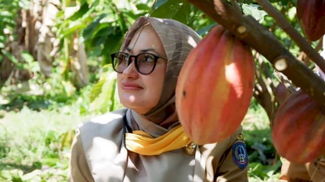 Bupati Luwu Utara Indah Putri Indriani, berfoto di bawah Pohon Kakao saat meninjau perkebunan Kakao beberapa waktu lalu.
