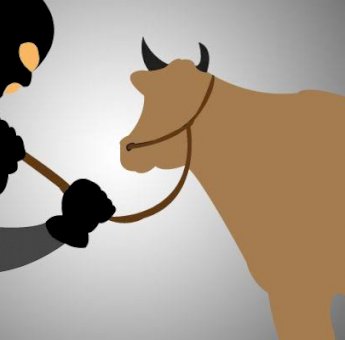 Polisi Berhasil Ungkap Sindikat Pencuri Sapi di Kabupaten Bone