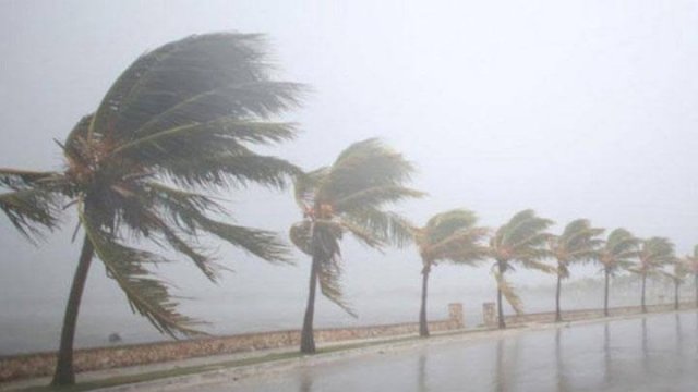 Ilustrasi Angin Kencang.