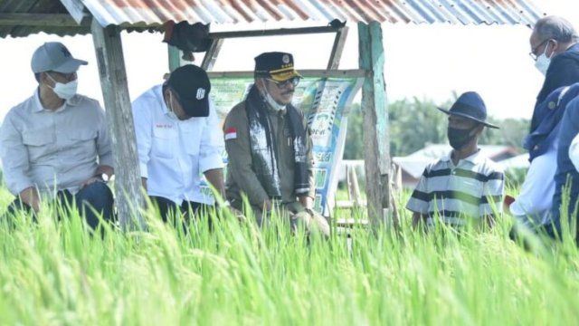 Menteri Pertanian RI, Syahrul Yasin Limpo meninjau program IP400 di area persawahan di desa Bialo Kecamatan Gantarang Kabupaten Bulukumba Sulawesi Selatan, Minggu (06/04/2022). (Foto. Humas Kementan RI)