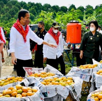 Tinjau Kampung Jeruk, Presiden Jokowi Juga Pantau Infrastruktur Jalan
