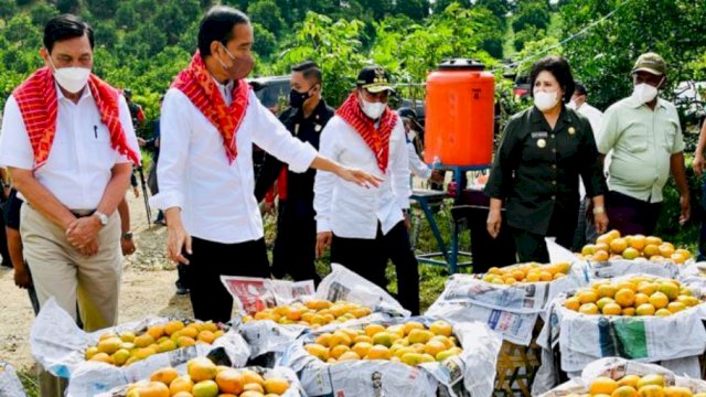 Presiden Jokowi meninjau Kampung Jeruk, Liang Melas Datas, Kabupaten Karo, Provinsi Sumatera Utara, pada Jumat (4/2/2022).