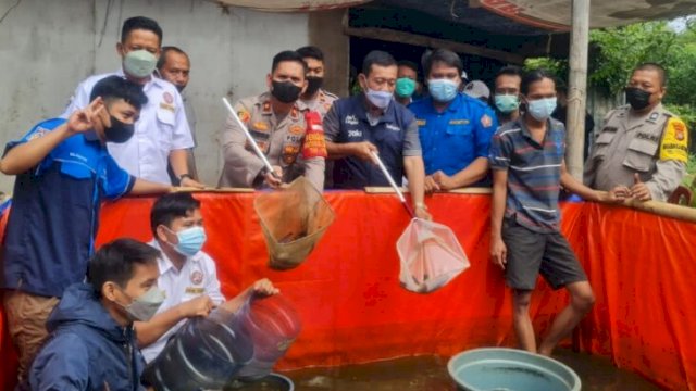 Kapolsek Kalideres Kompol Hasoloan Situmorang, bersama 3 Pilar Kalideres Jakarta Barat melakukan panen raya ikan lele bersama warga, Minggu (06/02/2022). (Istimewa)