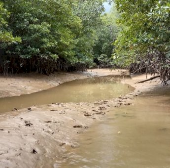Diduga Cemari Sungai Sanromukti, Nelayan Jenebora Akan Geruduk PT Wahana Prima Sejati