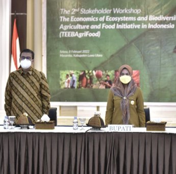 Gelar FGD, IPB University Bahas Potensi Kakao di Luwu Utara