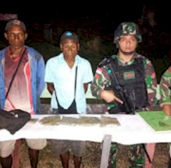Satgas Pamtas Yonif 126/KC Amankan Narkotika Jenis Ganja dari Masyarakat Keerom Papua