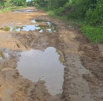 Jalan Rusak Ini Tak Pernah Diperbaiki, Sempat Ibu Hamil Melahirkan Dalam Perjalanan
