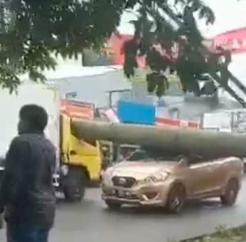 Angin Kencang di Jakarta, Banyak Pohon Tumbang dan Atap Rumah Beterbangan