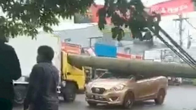 Tangkapan Layar Video yang memperlihatkan Pohon tumbang yang menimpa dua unit mobil, pohon tumbang itu disebabkan angin kencang, Sabtu (05/03/2022). (Wahyu Widodo/Republiknews.co.id)