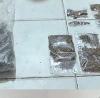 Miliki Ganja, 5 Warga Negara Papua Nugini dan 1 Orang WNI Diringkus Polisi di Jayapura