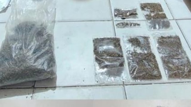 Barang bukti ganja yang berhasil diamankan polisi dari keenam terduga pelaku. (Istimewa)