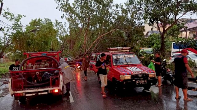 Proses Evakuasi Pengendara motor yang tewas tertimpa pohon tumbang di Jalan APT Pranoto, Kecamatan Samarinda Seberang, Kota Samarinda, pada Selasa (22/03/2022). (Istimewa)